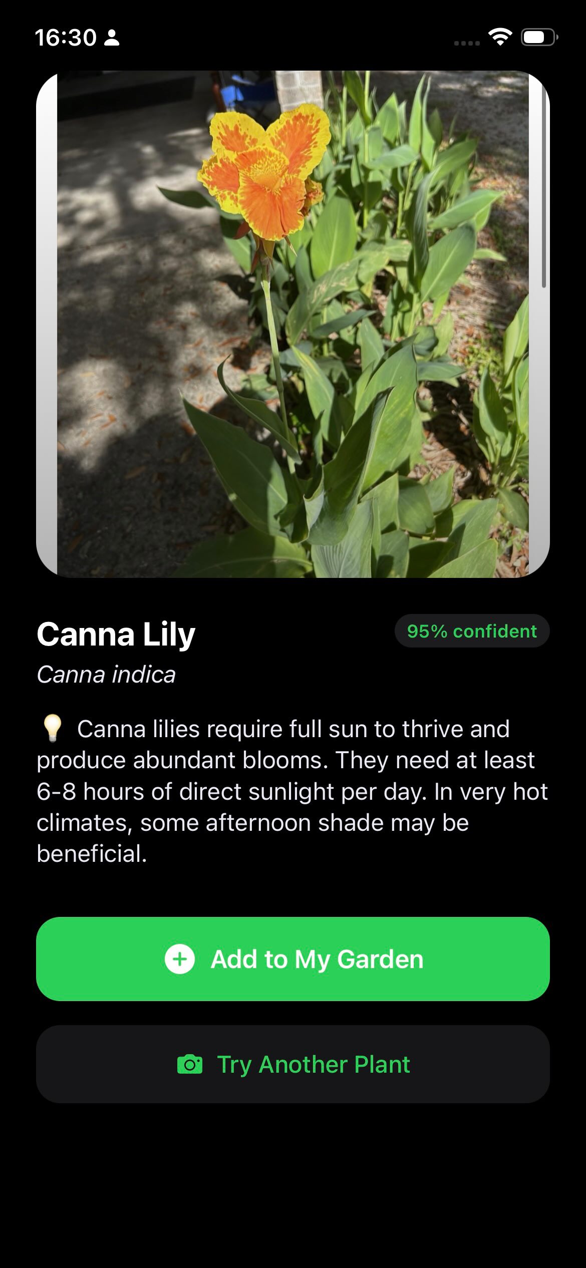 Phone with Green Screen